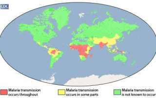 Профилактика малярии