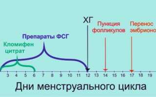 Короткий протокол ЭКО по дням с описанием лекарств