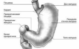 Недостаточность кардии при гастрите