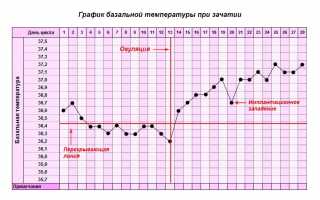 Имплантационное западение: на какой день?