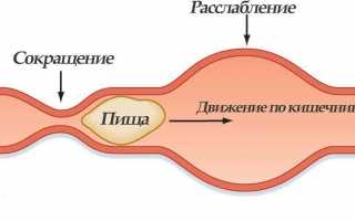 Нарушения перистальтики кишечника