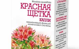 Красная щетка при планировании беременности за и против